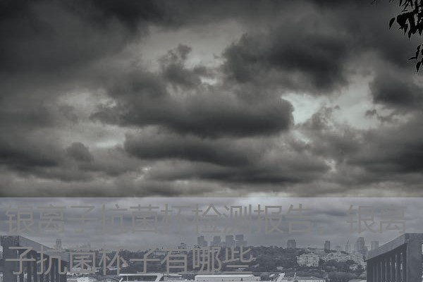 银离子抗菌杯检测报告，银离子抗菌杯子有哪些