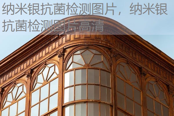 纳米银抗菌检测图片，纳米银抗菌检测图片高清