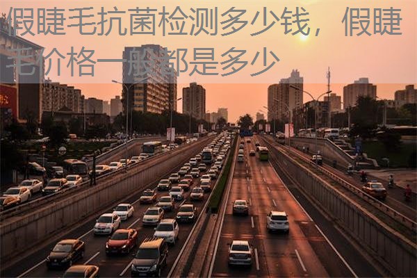 假睫毛抗菌检测多少钱，假睫毛价格一般都是多少