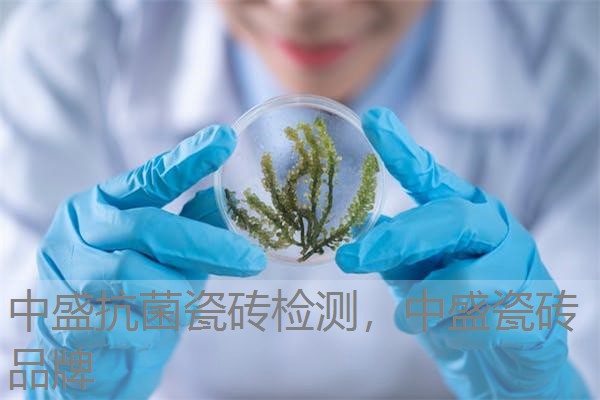 中盛抗菌瓷砖检测，中盛瓷砖品牌
