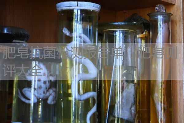 肥皂抗菌检测报告单，肥皂测评大全