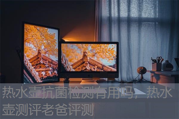 热水壶抗菌检测有用吗，热水壶测评老爸评测