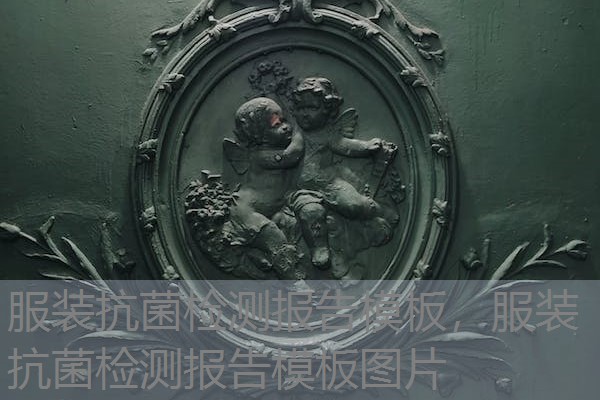 服装抗菌检测报告模板,服装抗菌检测报告模板图片 服装抗菌检测报告模板,服装抗菌检测报告模板图片