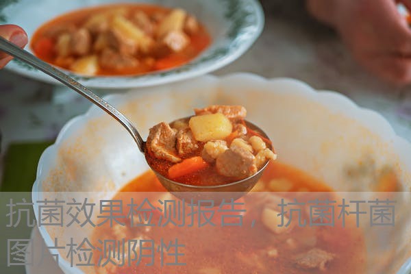 抗菌效果检测报告，抗菌杆菌图片检测阴性