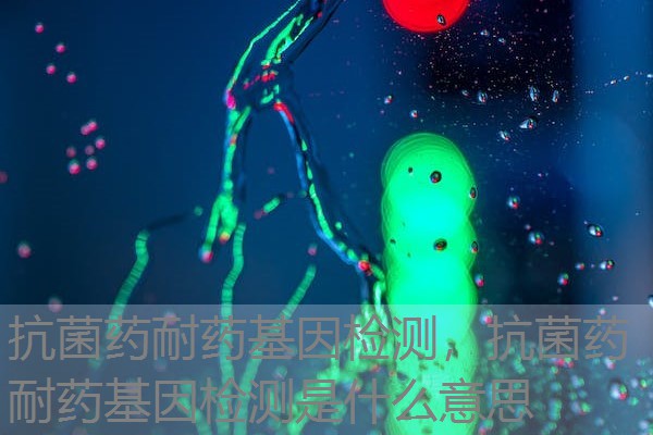 抗菌药耐药基因检测，抗菌药耐药基因检测是什么意思