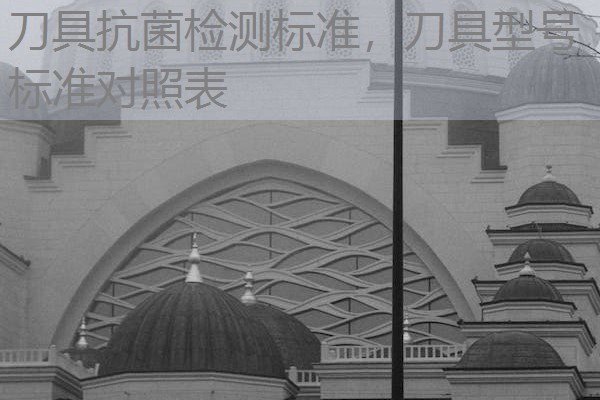 刀具抗菌检测标准，刀具型号标准对照表