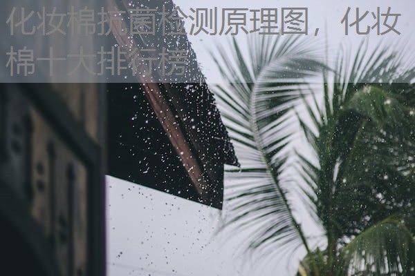 化妆棉抗菌检测原理图，化妆棉十大排行榜