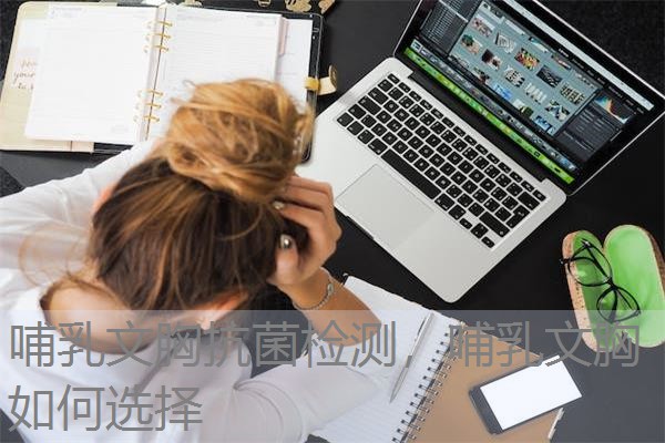 哺乳文胸抗菌检测，哺乳文胸如何选择