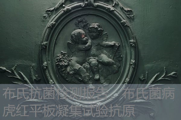 布氏抗菌检测报告，布氏菌病虎红平板凝集试验抗原