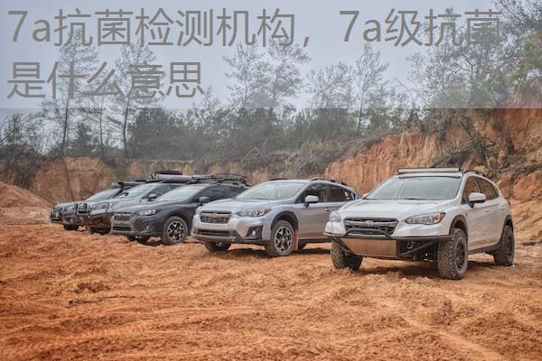 7a抗菌检测机构，7a级抗菌是什么意思