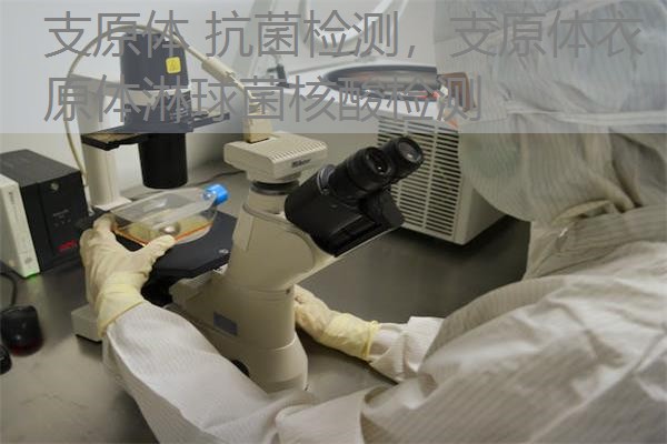 支原体 抗菌检测，支原体衣原体淋球菌核酸检测