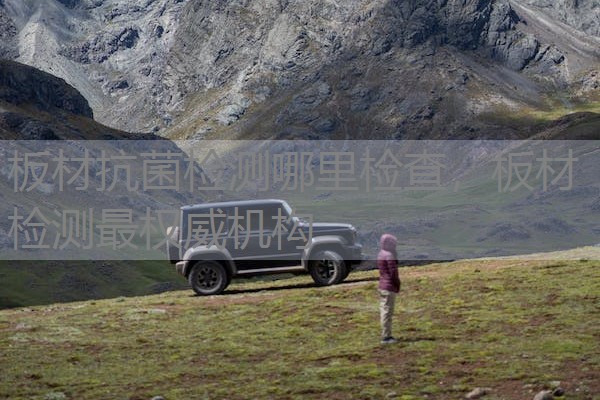 板材抗菌检测哪里检查,板材检测最权威机构 板材抗菌检测哪里检查,板材检测最权威机构