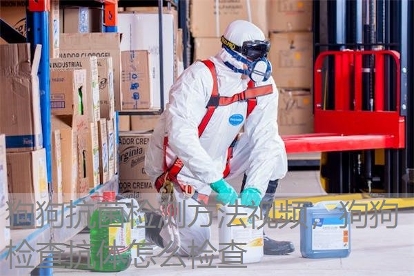 狗狗抗菌检测方法视频,狗狗检查抗体怎么检查 狗狗抗菌检测方法视频,狗狗检查抗体怎么检查