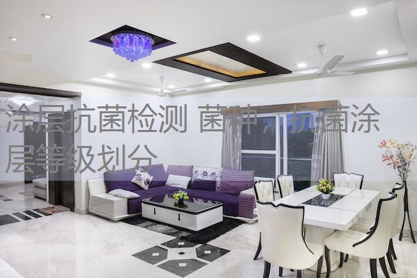 涂层抗菌检测 菌种，抗菌涂层等级划分