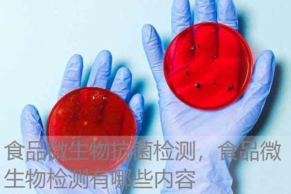 食品微生物抗菌检测，食品微生物检测有哪些内容