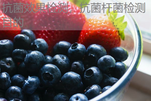 抗菌效果检测，抗菌杆菌检测目的