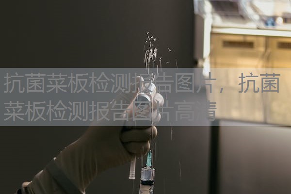 抗菌菜板检测报告图片，抗菌菜板检测报告图片高清