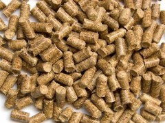 这些饲料检测标准你都知道吗？-青岛英伦