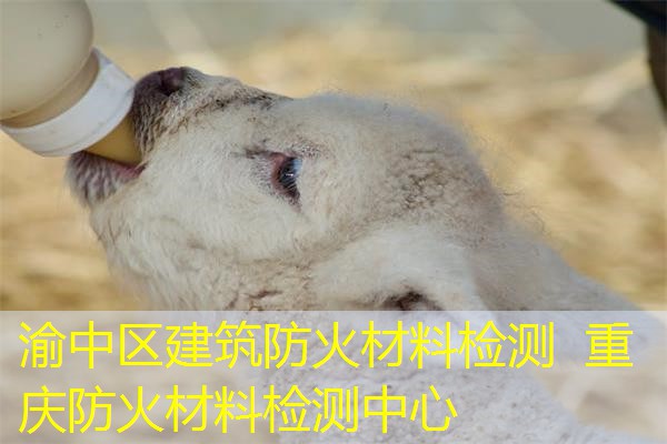 渝中区建筑防火材料检测  重庆防火材料检测中心
