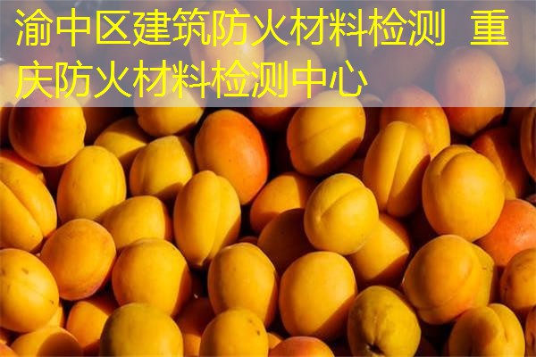 渝中区建筑防火材料检测  重庆防火材料检测中心