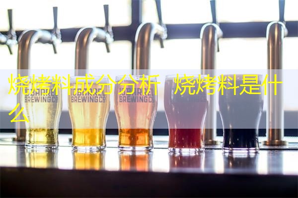烧烤料成分分析 烧烤料是什么 烧烤料成分分析 烧烤料是什么