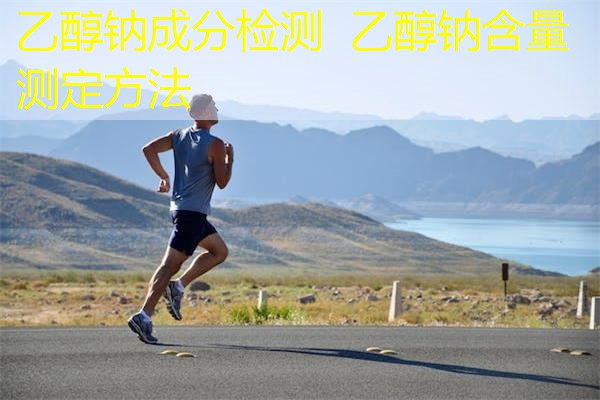 乙醇钠成分检测 乙醇钠含量测定方法 乙醇钠成分检测 乙醇钠含量测定方法