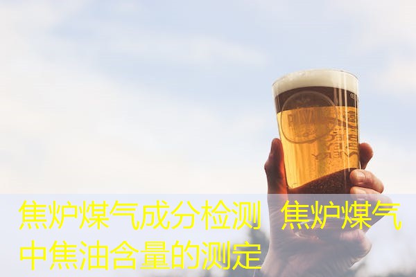 焦炉煤气成分检测 焦炉煤气中焦油含量的测定 焦炉煤气成分检测 焦炉煤气中焦油含量的测定