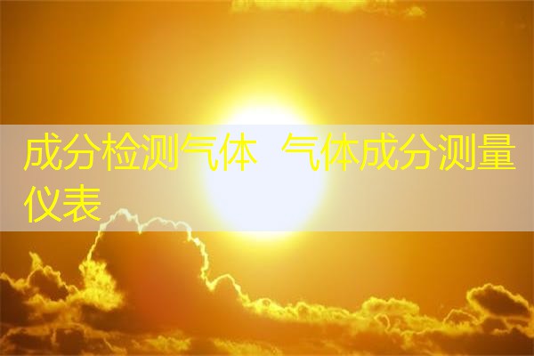 成分检测气体 气体成分测量仪表 成分检测气体 气体成分测量仪表