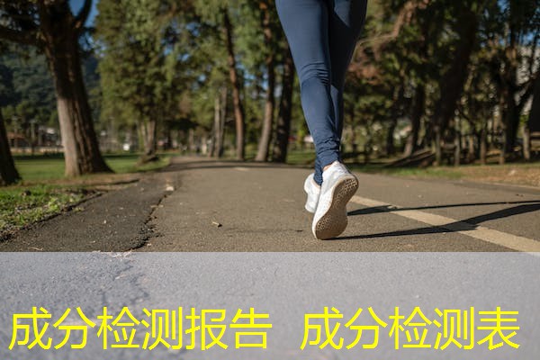 成分检测报告  成分检测表