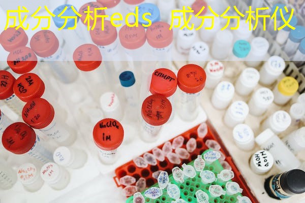 成分分析eds 成分分析仪 成分分析eds 成分分析仪