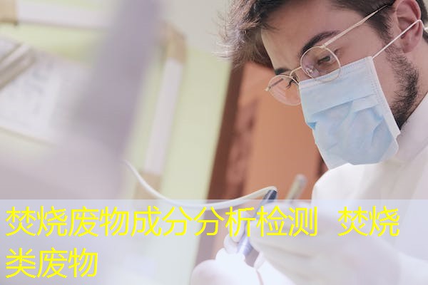 焚烧废物成分分析检测 焚烧类废物 焚烧废物成分分析检测 焚烧类废物