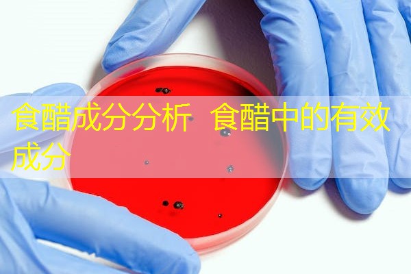 食醋成分分析  食醋中的有效成分