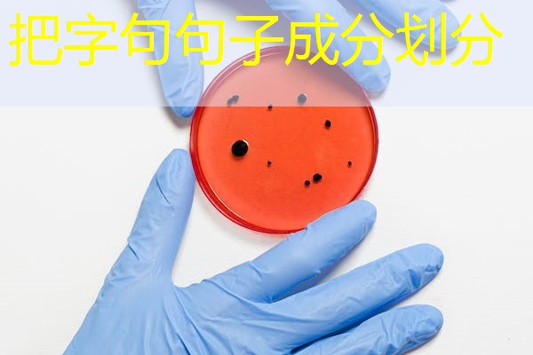 把字句句子成分划分 把字句句子成分划分
