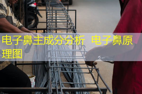 电子鼻主成分分析 电子鼻原理图 电子鼻主成分分析 电子鼻原理图