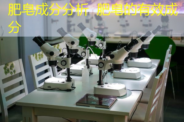 肥皂成分分析 肥皂的有效成分 肥皂成分分析 肥皂的有效成分
