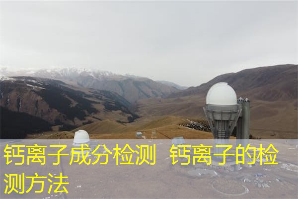 钙离子成分检测  钙离子的检测方法