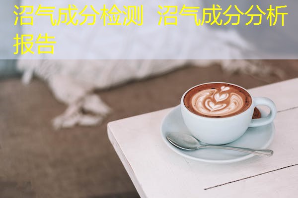 沼气成分检测  沼气成分分析报告