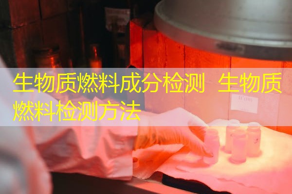 生物质燃料成分检测 生物质燃料检测方法 生物质燃料成分检测 生物质燃料检测方法