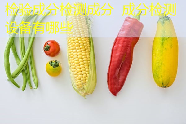 检验成分检测成分 成分检测设备有哪些 检验成分检测成分 成分检测设备有哪些