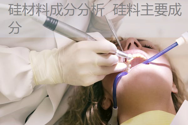 硅材料成分分析 硅料主要成分 硅材料成分分析 硅料主要成分