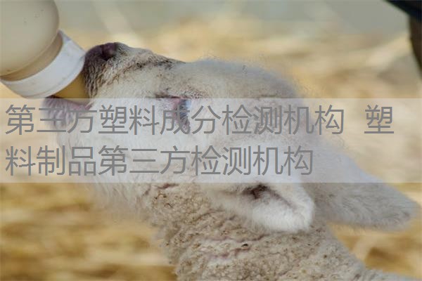 第三方塑料成分检测机构 塑料制品第三方检测机构 第三方塑料成分检测机构 塑料制品第三方检测机构