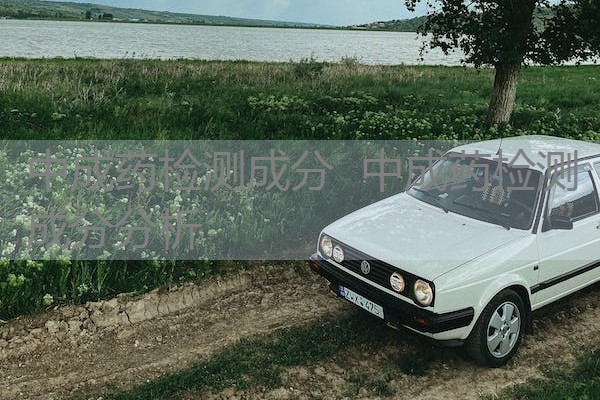 中成药检测成分 中成药检测成分分析 中成药检测成分 中成药检测成分分析