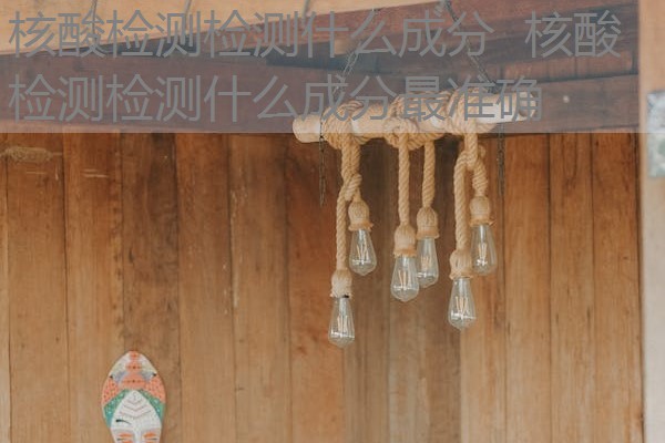 核酸检测检测什么成分 核酸检测检测什么成分最准确 核酸检测检测什么成分 核酸检测检测什么成分最准确