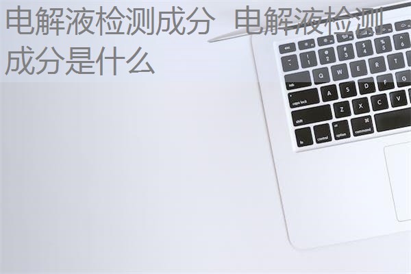 电解液检测成分  电解液检测成分是什么