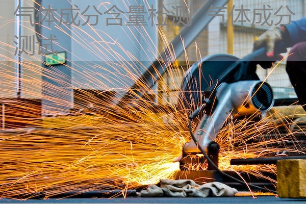 气体成分含量检测 气体成分测试 气体成分含量检测 气体成分测试