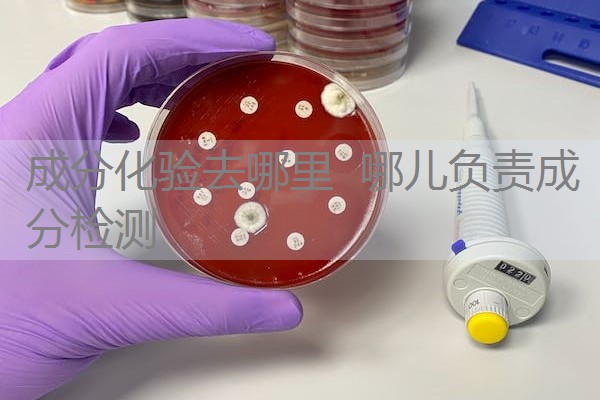 成分化验去哪里 哪儿负责成分检测 成分化验去哪里 哪儿负责成分检测