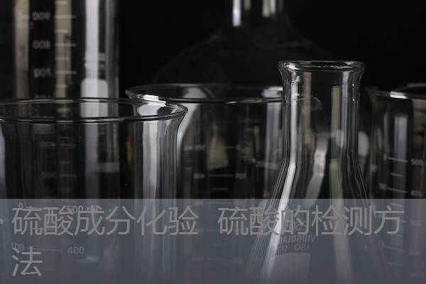 硫酸成分化验 硫酸的检测方法 硫酸成分化验 硫酸的检测方法