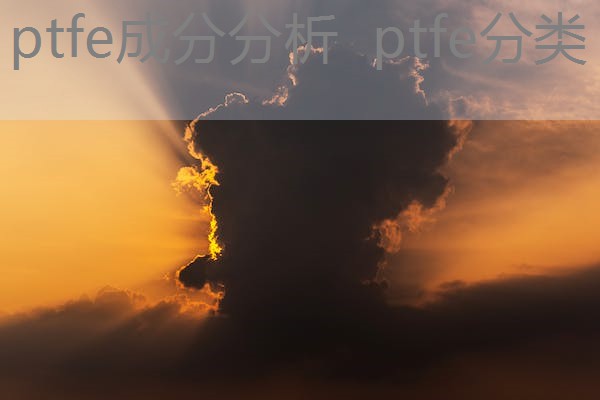 ptfe成分分析 ptfe分类 ptfe成分分析 ptfe分类