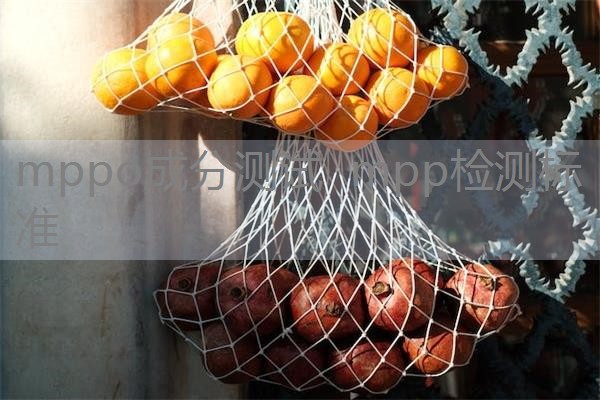 mppo成分测试 mpp检测标准 mppo成分测试 mpp检测标准