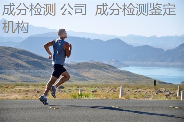 成分检测 公司  成分检测鉴定机构